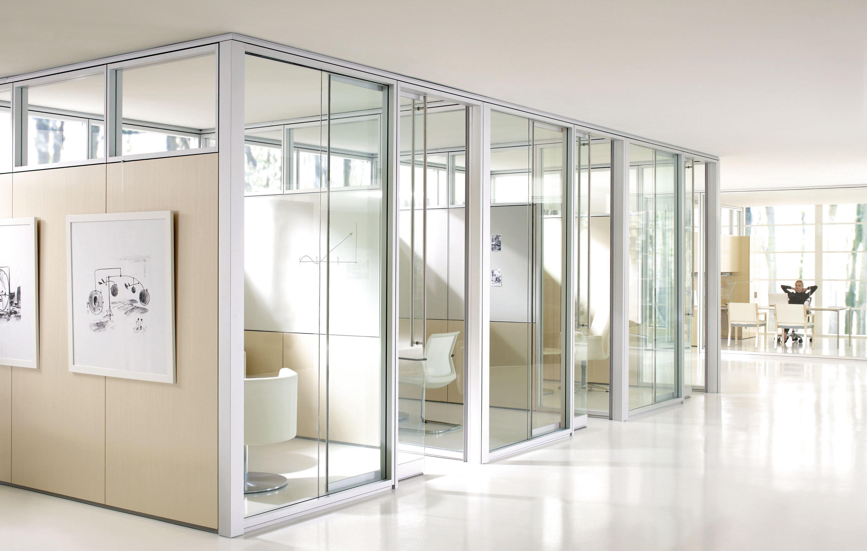 Aluminum–Glass Partition 1